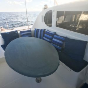 Dolphin 460 Catamaran MORRIGAN seating