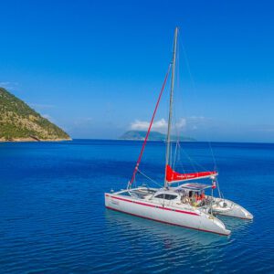 2018 Looping 50 Catamaran for sale
