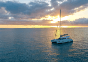 Catamarans for sale and service