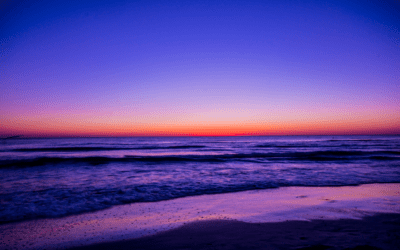 “Your team is awesome and we couldn’t be in better hands!!!”